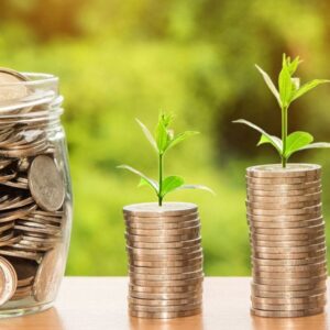 Winning Mutual Funds for 2025: Experts’ Top Recommendations