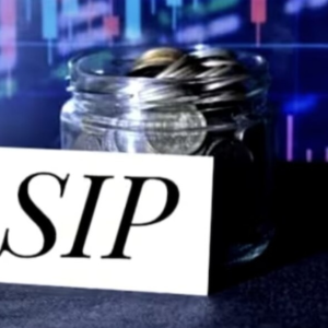 SIPs in red: Mutual funds that lost money for investors in 2024