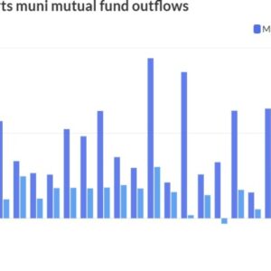 A stronger tone to open 2025; mutual funds see outflows