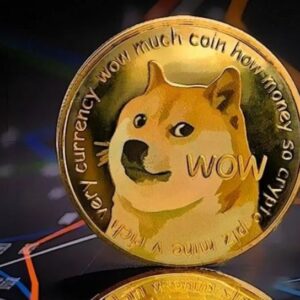 Dogecoin's Remarkable Surge: Large Transaction Volume Spikes 41% as Network Activity Intensifies